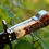 Thumbnail: Damascus Dog Bone Bowie with Stag Handle