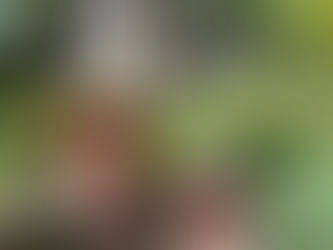 Indescribable Beauty: Croatia