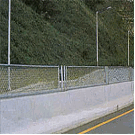 B3