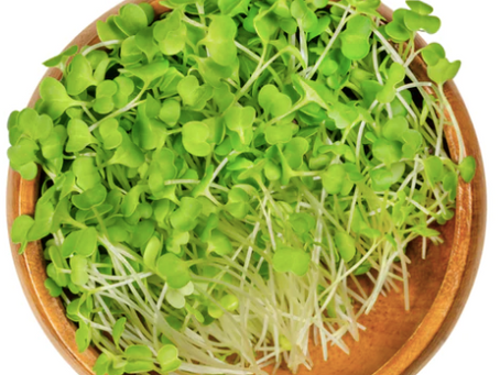 The Mighty Microgreens: A Nutritional Powerhouse