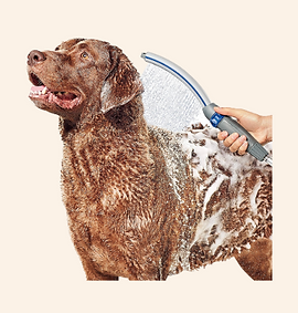 Screenshot 2025-11-05 at 7.40.11 AM.png