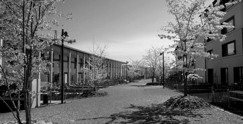 Zürich, Siedlung Grünmatt der FGZ