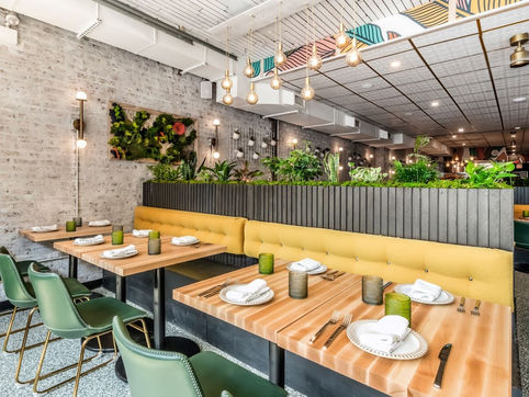 Bloom Plant Based Kitchen: A Haven for Vegans and Health Enthusiasts in Chicago