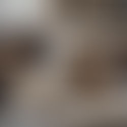 Spring Shedding Cleaning & Tips: How to Keep Your Home & Pup Fresh