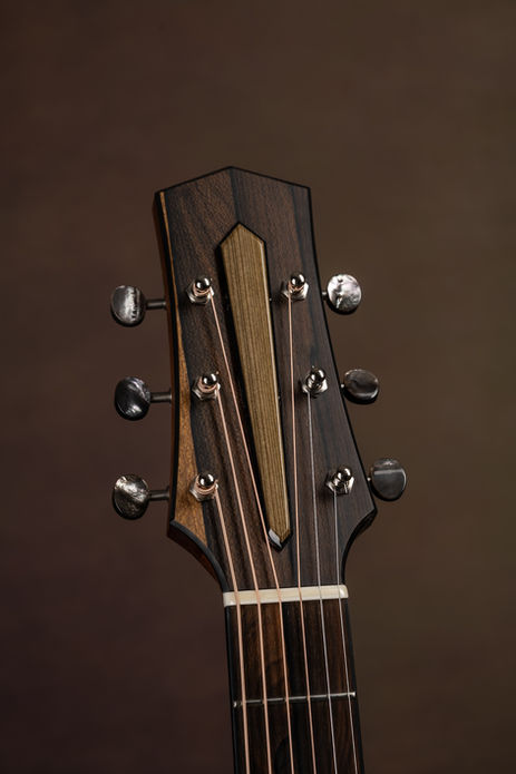 acoustic-guitar-collector-premium-somogyi-traugott 