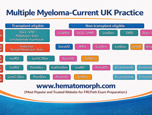 Multiple Myeloma Updated Algorithm-Current UK Practice