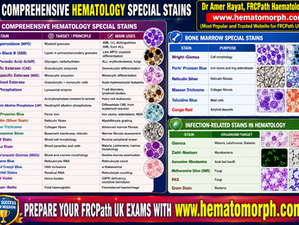 Haematology Special Stains for Exams
