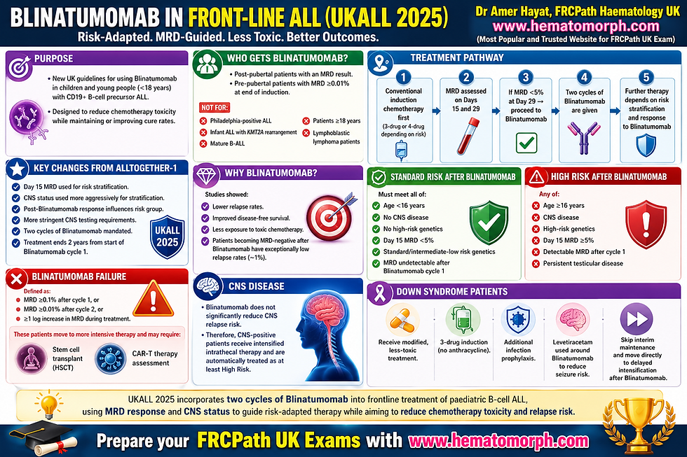 Blinatumomab in Front-Line ALL (UKALL 2025)