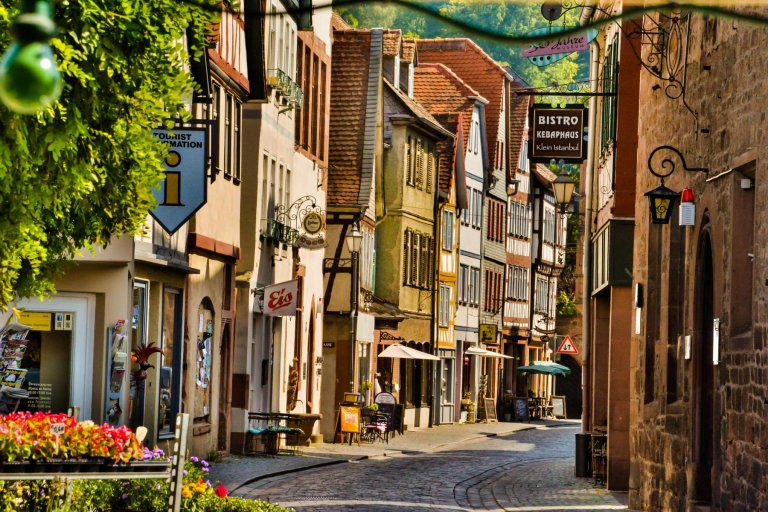 Tagesfahrt zum Glauberg - Auf den Spuren der Keltenfürsten