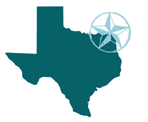 texas icon