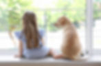 child-and-dog-at-window.jpg