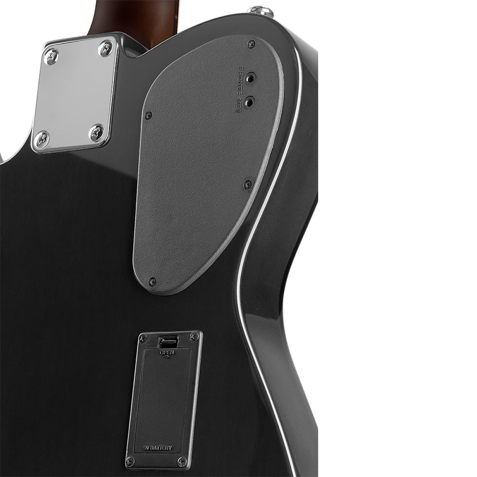 Miniature : GUITARE FOLK JN EW3000C