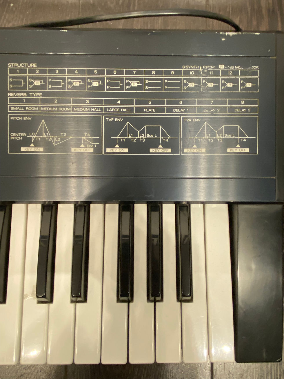 Miniature : ROLAND D-20