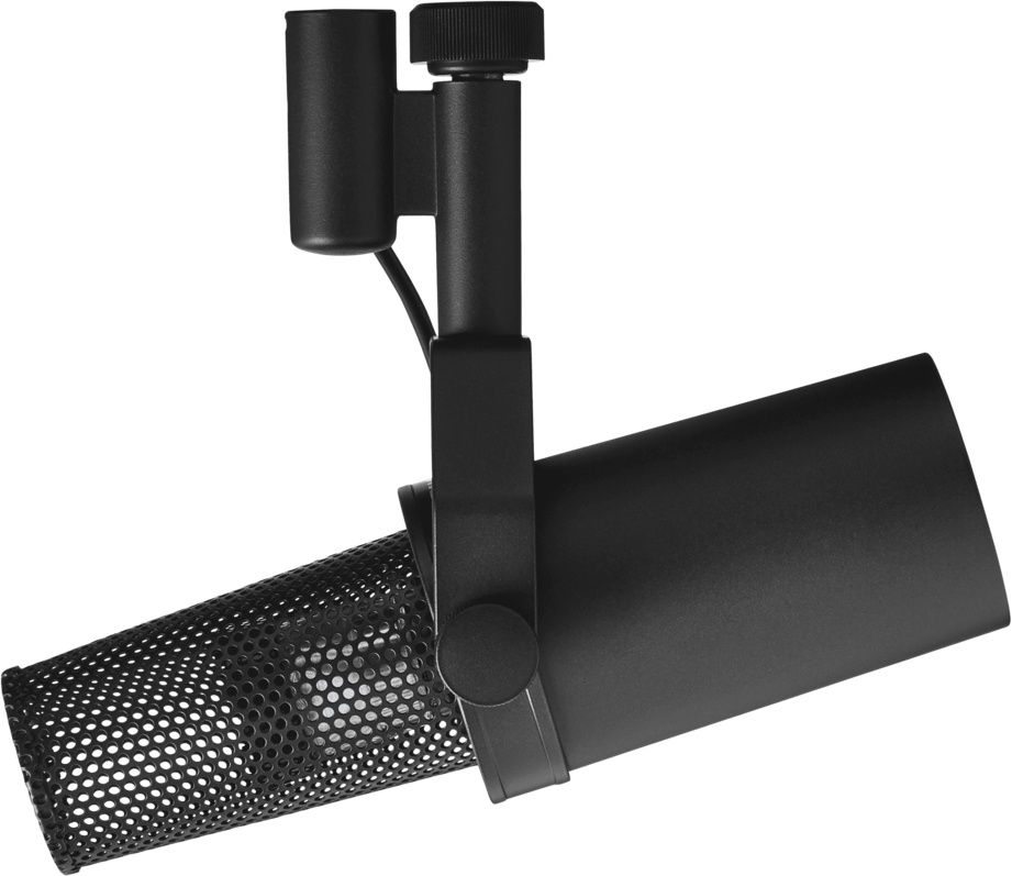 Miniature : MICRO SHURE SM7B