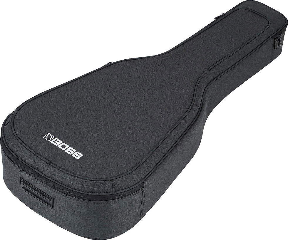 Miniature : HOUSSE BOSS GUITARE FOLK CB-AG10