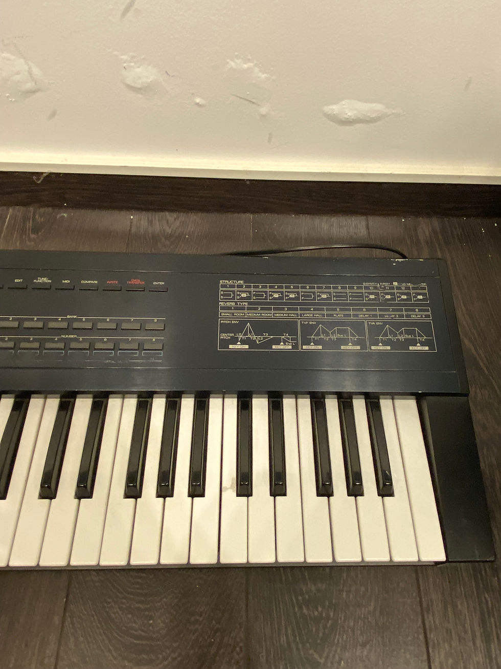 Miniature : ROLAND D-20