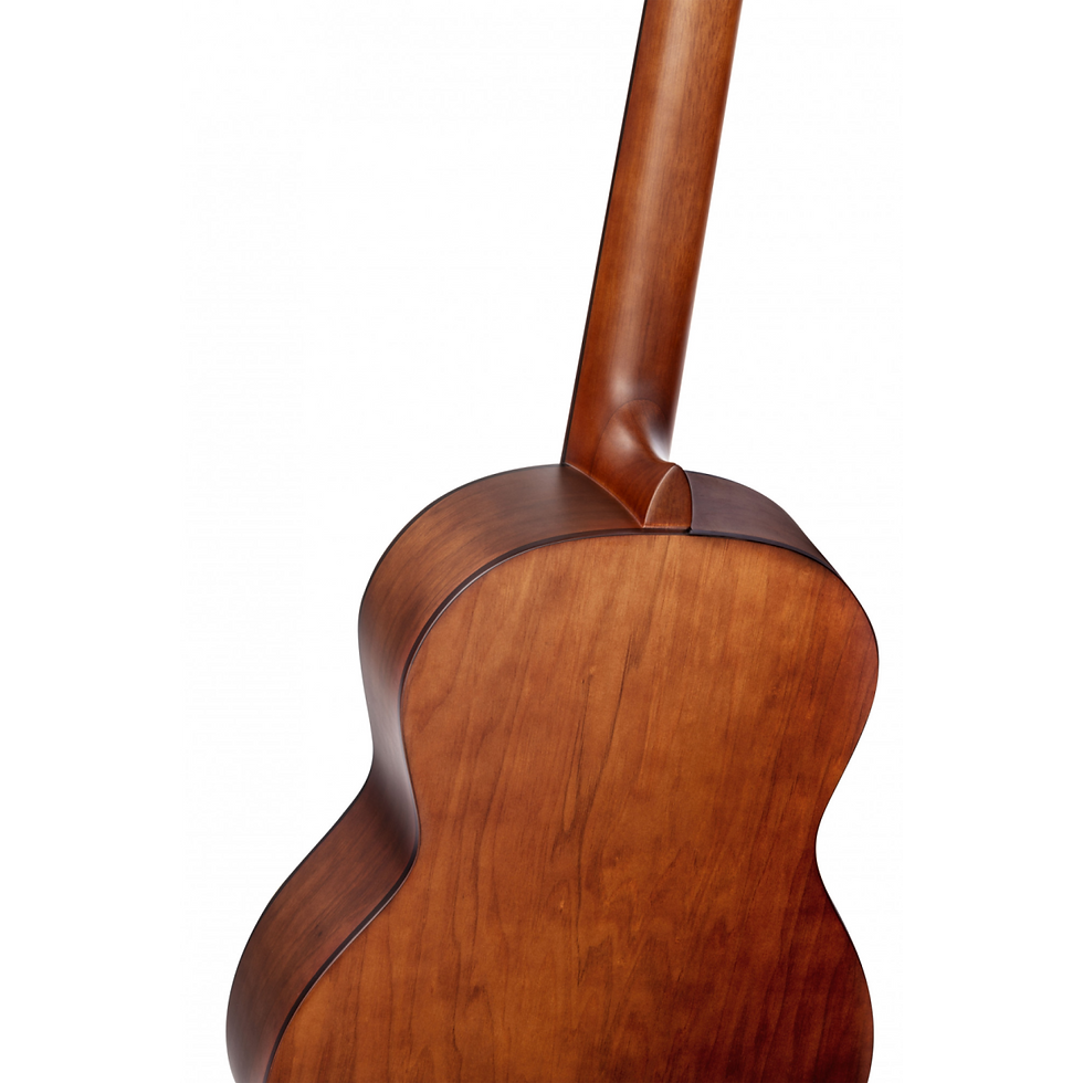 Miniature : GUITARE CLASSIQUE ORTEGA R55DLX-BFT