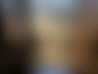 Pics from the Lake - Construction, Destruction & Gardening