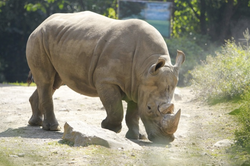 Schermafbeelding 2016-05-30 om 17.41.26