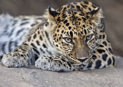 Schermafbeelding 2016-05-30 om 17.41.33