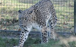 Schermafbeelding 2016-05-30 om 20.09.10