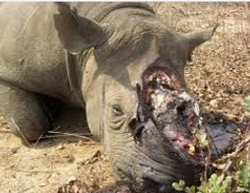 Schermafbeelding 2016-06-01 om 10.24.33