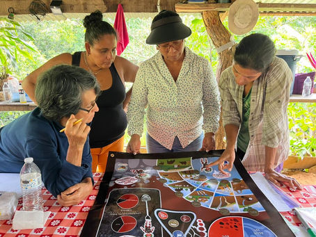 Reservorios de agua para la resiliencia territorial: la experiencia de Buenos Aires, Costa Rica