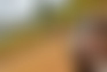 CICLOTURISMO - Volta das Transições