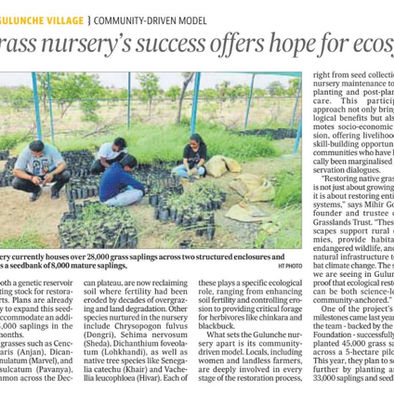 Hindustan Times - Model native grass nursery's success offers hope for ecosystem revival