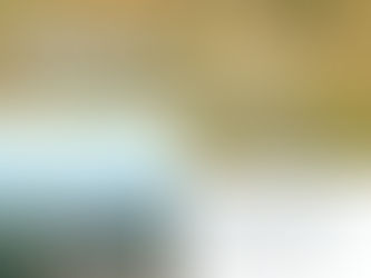 Cover image of the article published in the International wolf magazine about wolves from the Indian grasslands and the limits of coexistence by VICTOR SAZATORNIL, JOSE VICENTE LÓPEZ-BAO and MIHIR GODBOLE 