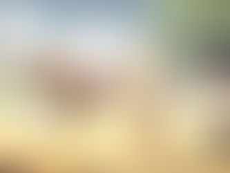 Wie falsch kann ein Mensch sein?