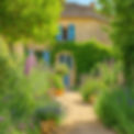summer plantsfrench countryside.jpg