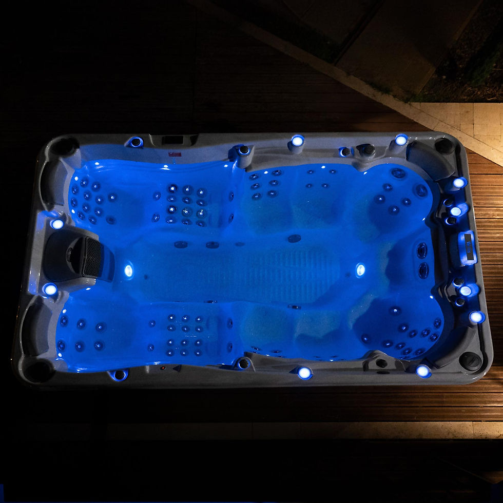 Miniature : acheter spa type jacuzzi wellis olympus life valais vaud suisse