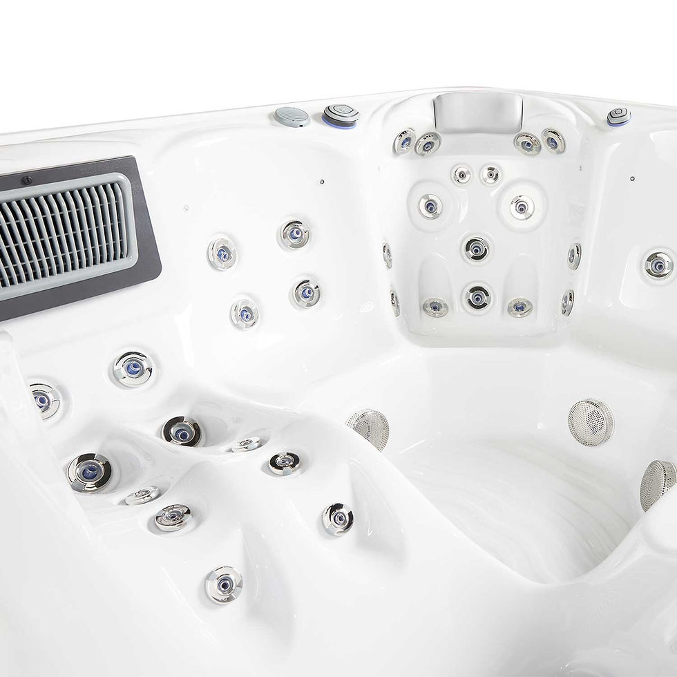Miniature : spa type jacuzzi Wellis Venus