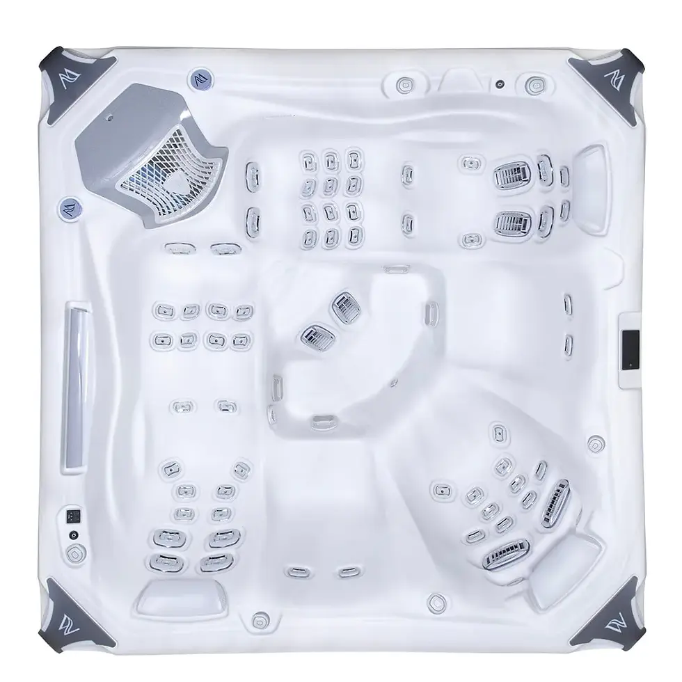 Miniature : spa type jacuzzi Wellis EVEREST LIFE DELUXE