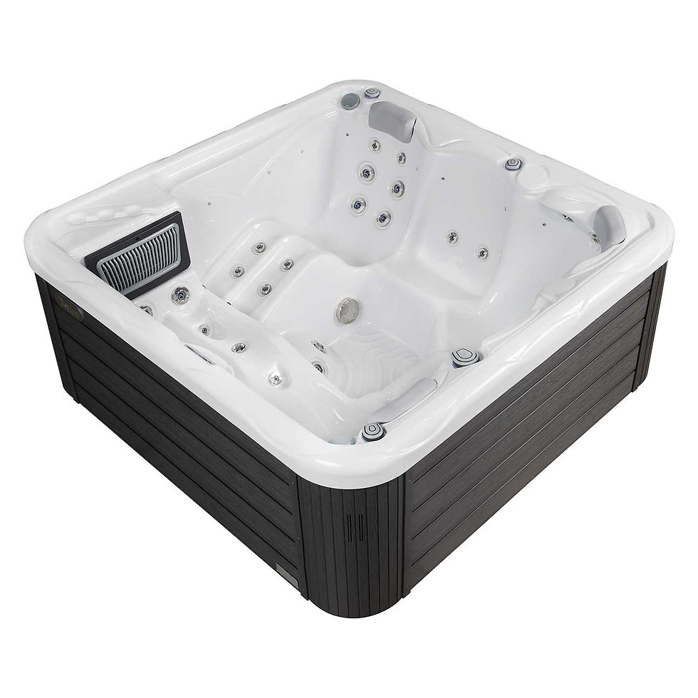 Miniature : spa type jacuzzi Wellis pluto
