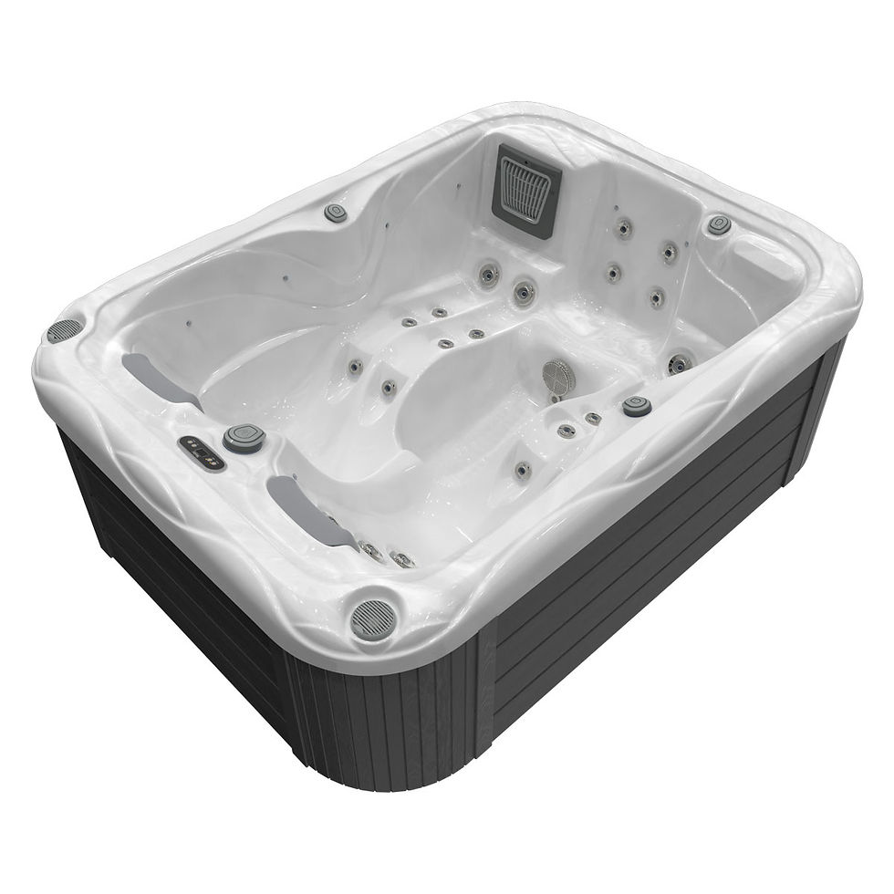 Miniature : spa type jacuzzi wellis valais vaud suisse mars p&p