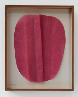 CELL91025-kader-31x25cm-lowres_edited