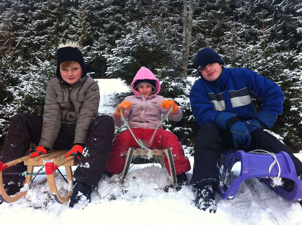 Schlittenrennen im Winter