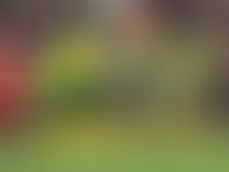 A look at Norwich City’s bright start to the season