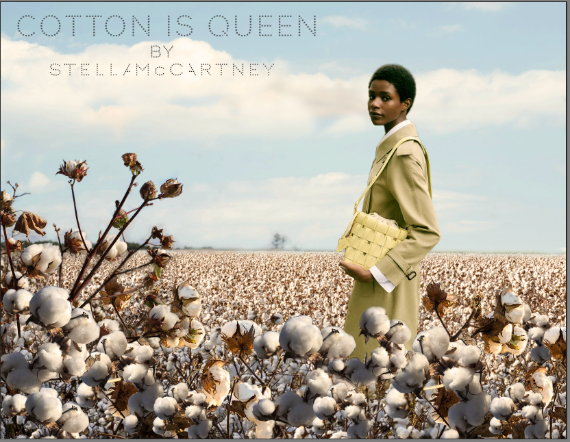 Stella McCartney spec