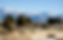 Screenshot 2025-03-03 at 10.10.38 PM.png