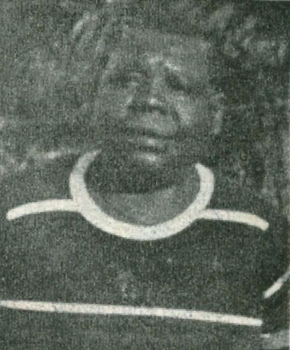PERGENTINO FERREIRA - sapateiro.jpg