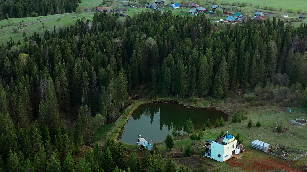 Image - Top view of house of small lake in forest. Clip. Beautiful house by lake with green forest on cloudy
