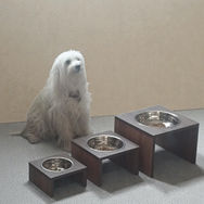 Comedero Mascota 2