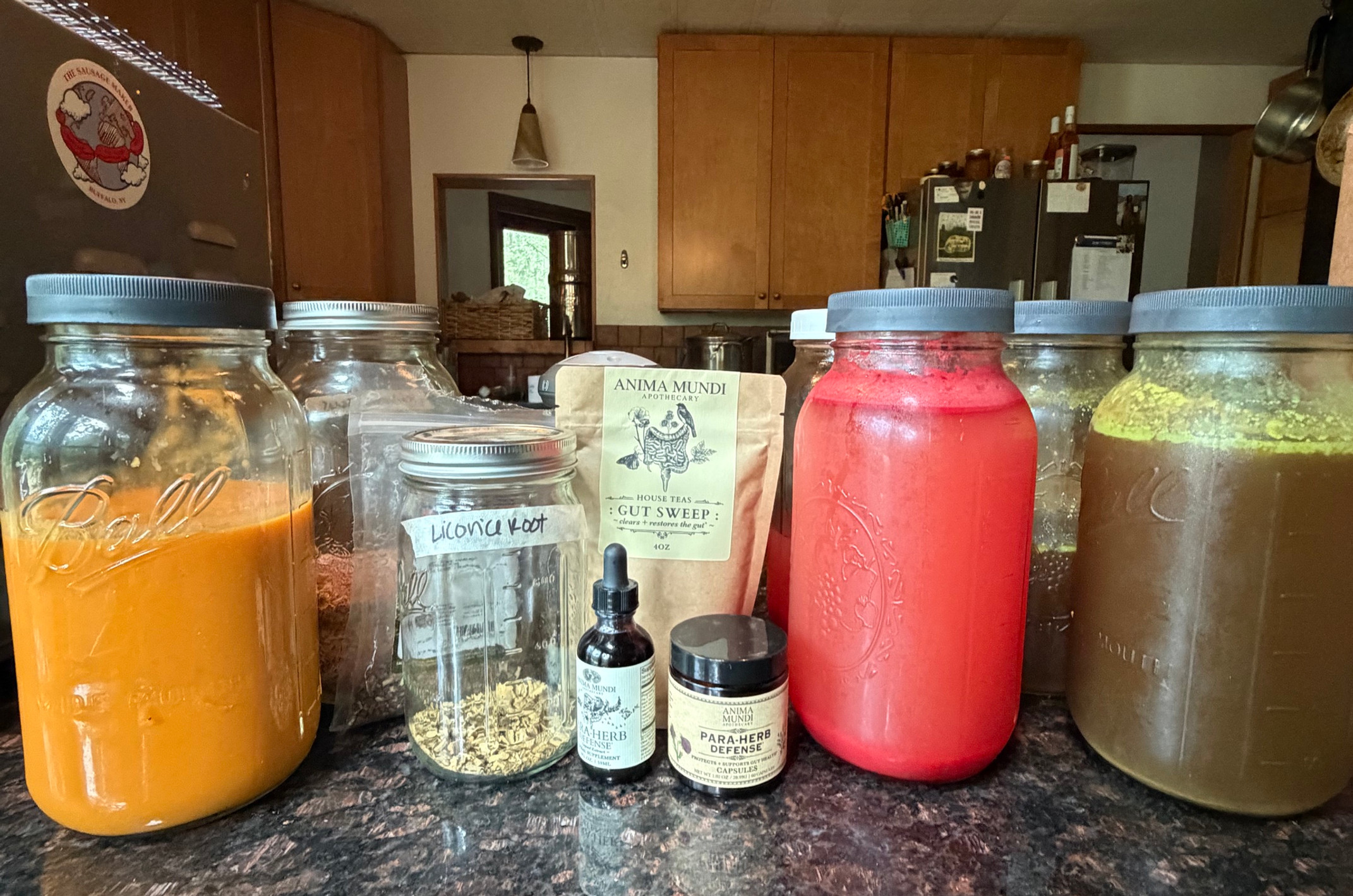 cleanse goodies - parasite herbs, gut sweep, bone broth, watermelon juice, liver herbs for tea, carrot soup - not pictured squash pancakes, boiled chicken, and millet porridge