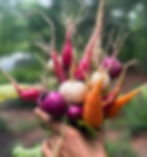 carrots.jpg