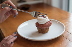 nick menzies photography