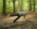 sabine_edited_edited_edited.jpg