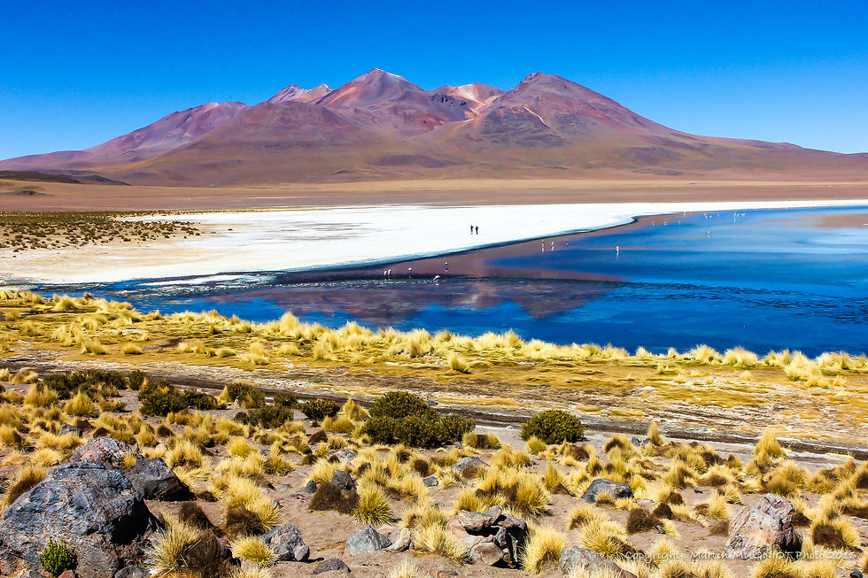Laguna - Salar de Uyuni